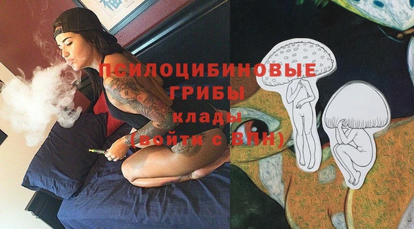 синтетический гашиш Краснослободск