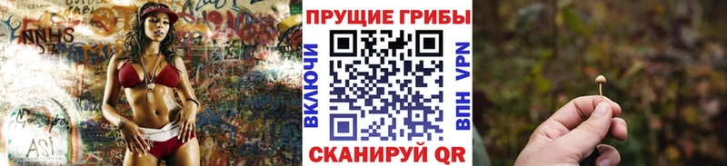 Купить где  Мичуринск  Галлюциногенные грибы Psilocybine cubensis 
